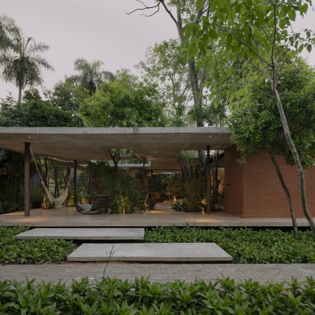A Forest in the House